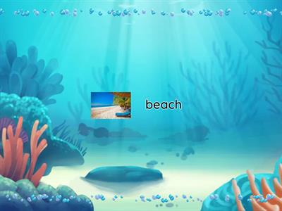 Sea Fairyland 4 watch and memorise