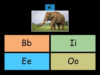 Quiz Matching Type Letters Aa-Oo audio and picture