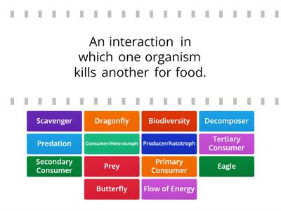 Ecology Vocabulary