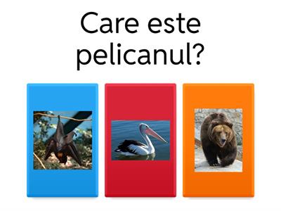 Citește întrebarea și alege imaginea corectă