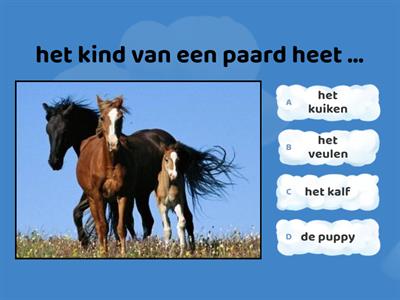 Dieren - 2 (Groep 5)