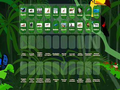 ADIVINHA- ANIMAIS 🦩🕸🐠🐀🐾🦎