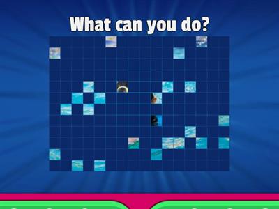 UW. Unit 2 - What can you do?