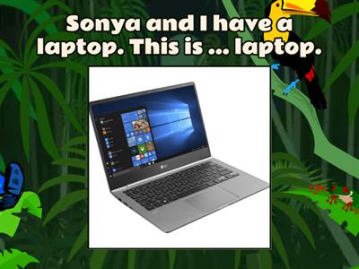 Possessive adjectives 