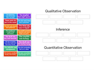 Observation and Inference