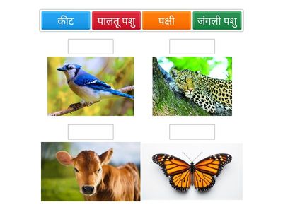 अभ्यास 2