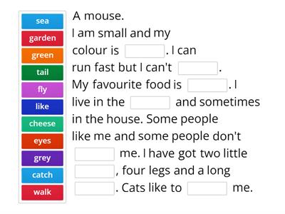 Cambridge Starters part 4