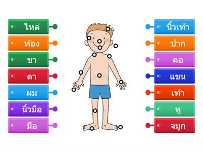 ร่างกาย 4