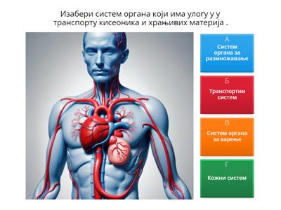 Транспортни систем човека и животиња