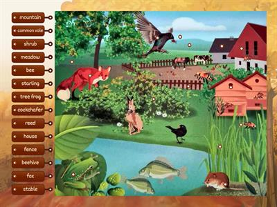 Animals around our house/Nature and Science for Children 4