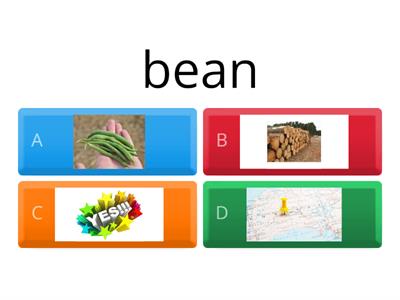 Homophone Match 4: been, bean, would, wood, saw, sore, no, know, sure, shore.