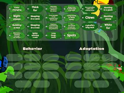 Adaptations vs Behavior