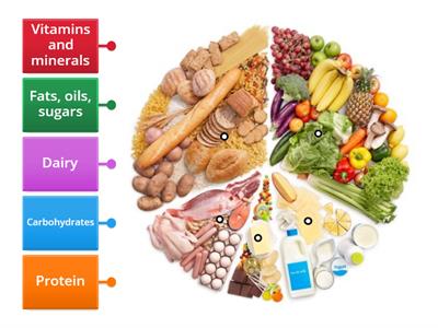 Y5 Food groups