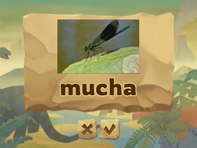 Repetytorium 5.4 Zwierzęta - Part 1 FLASHCARDS