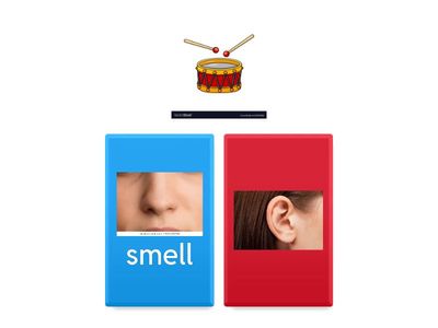 Five Senses (easy/2 choices)