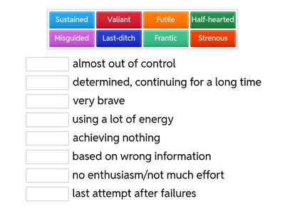 Collocations with Effort/Attempt