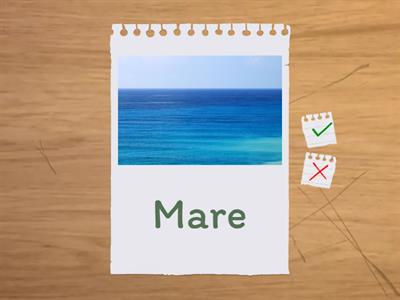 ciclo dell acqua scuola infanzia