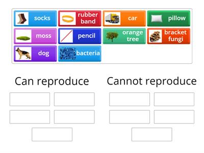 Classify things (can / cannot reproduce)