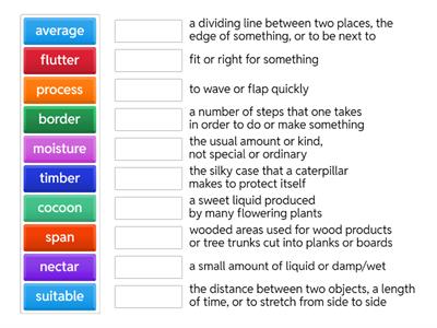 Wordly Wise Lesson 4