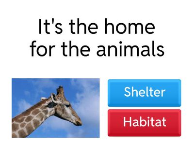 HABITAT OR SHELTER  (2). Phrases
