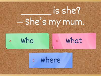 Who, what, where, how many, when, how