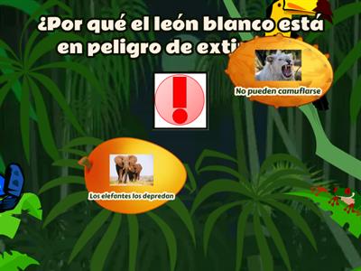 El león blanco