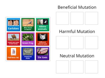 Benefical, Harmful, and Neutral Mutations