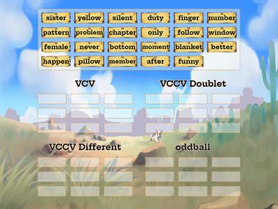 Sort 14 VCV and VCCV Patterns