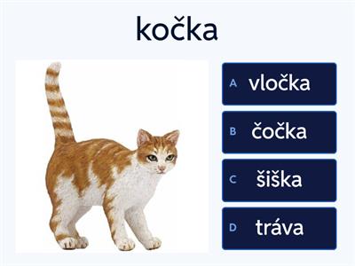 Co se rýmuje? Poznáš rýmy?