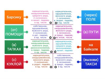 Морфологический разбор существительных