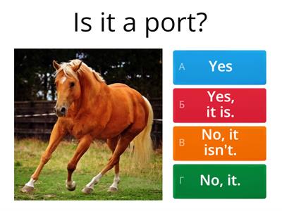 вопросы/ответы 