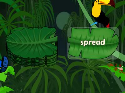 Grade 2 Word Automaticity List (Unit 5.5)