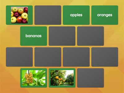 HWG3 U3: Food & Fruit(matching pairs)