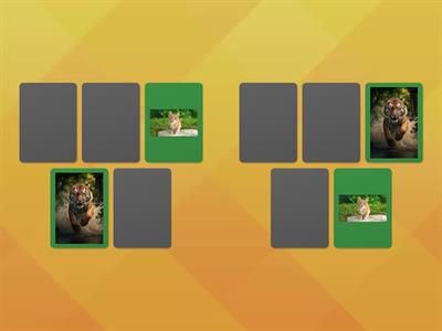 الذاكره ( حيوانات)