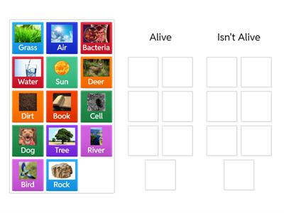 Alive vs Not Alive Sorting