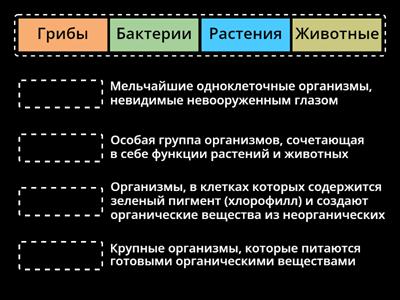 "Соотнеси правильно!" 7 е