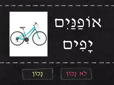 זָכָר וּנְקֵבָה- נָכוֹן אוֹ לֹא נָכוֹן?