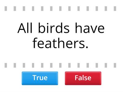 Unit 3 / Facts about birds