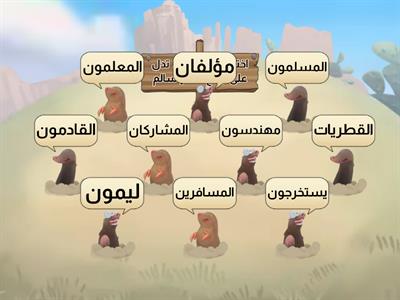 تحديد جمع المذكر السالم