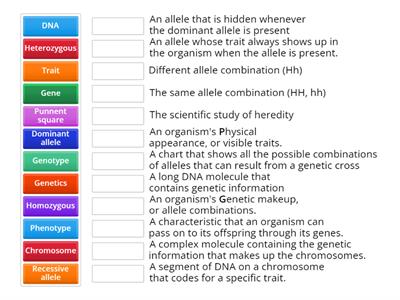 Introduction to Genetics