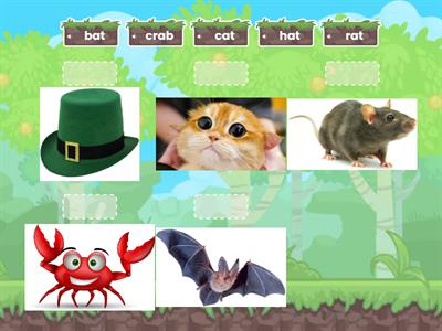 Zhurlova Course Lesson 1