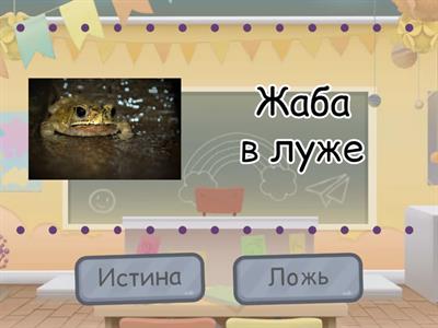 Автоматизация звука Ж