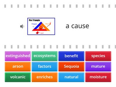 Forest Fires  Match Up Vocabulary    (DIBELS ORF 6.5)                   HOZ 