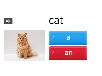 Articles a / an for kids 