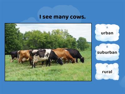 Urban, Suburban, and Rural Communities