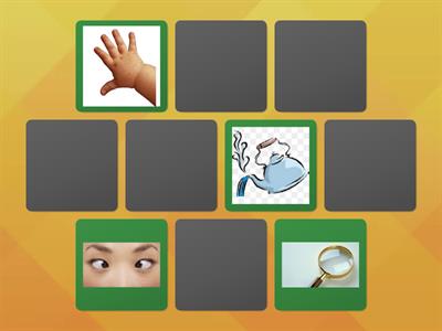 Kemahiran Proses Sains: Memerhati