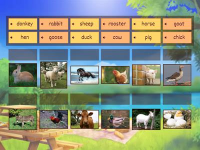 Farm animals F&F2 Unit 13