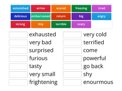 Academy Stars 5 Unit 8 Synonyms