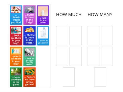 Steps Plus - V - Unit 2 - My School - How much/many