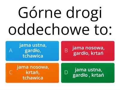 Test anatomia układ oddechowy